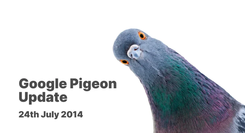google pigeon picture