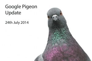 google-pigeon-pigeon-pic