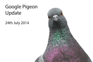 google pigeon picture