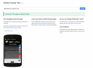 Screenshot showing that SEO CoPilot is mobile friendly