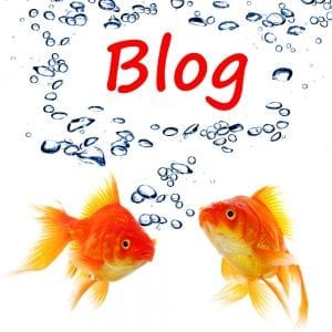 Having a blog