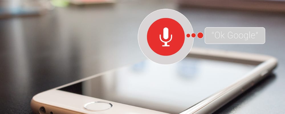 voice search control