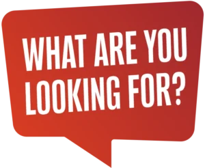 what are you looking for sign search intent